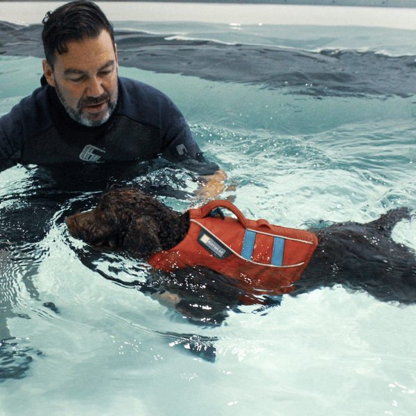 Hydrotherapist in the pool with a dog wearing a buoyancy jacket