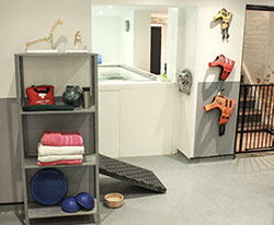 Dog Hydrotherapy & Dog Physiotherapy In Chiswick & Sheen 1