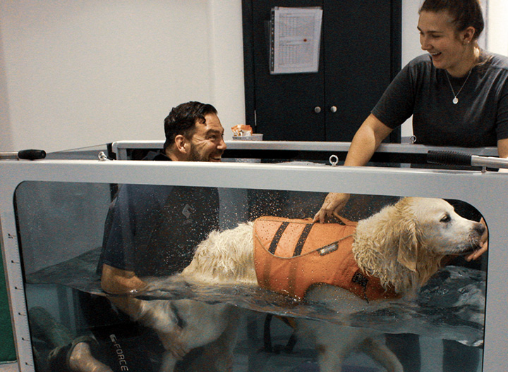 Dog Hydrotherapy